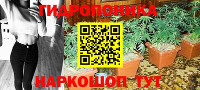 прущие крисы Краснознаменск