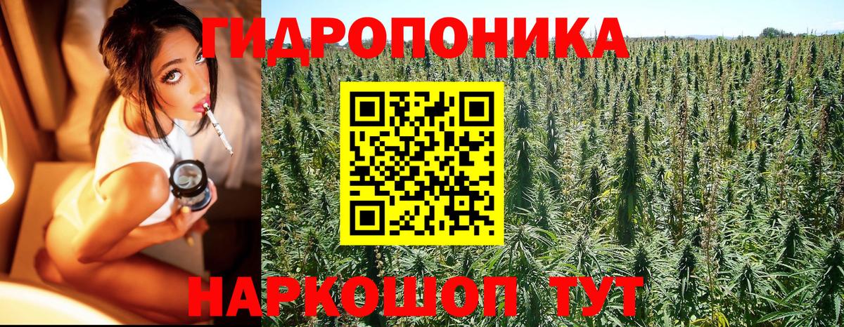 Канабис план Волжский